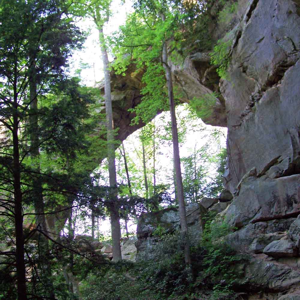 Best Things To Do In Red River Gorge 545travel best-things-to-do-in-red-river-gorge-545travel